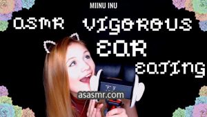 [Miinu Inu ASMR]激烈的吃耳朵舔耳，强烈向